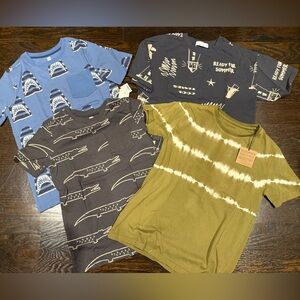 NWT Set of 4 Tea Collection Boy’s Sz 12 T-Shirts - Blue, Gray, and Olive